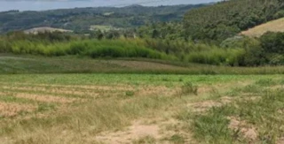 Imóvel 2094402 [''] - ['FAZENDA MATA BURROS'] [''] - ['Lagoa Formosa']/['MG'] - 1