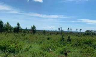 Imóvel 2214621 [''] - ['FAZENDA GAMELEIRA- NO DISTRITO DE SÃO BRÁS'] [''] - ['Lagamar']/['MG'] - 1